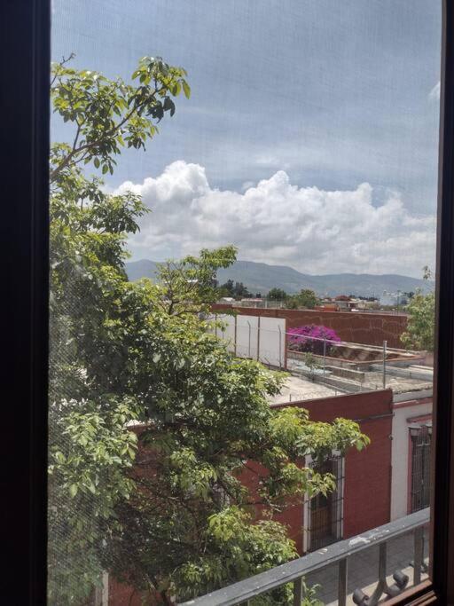 M1010 Agradable Departamento Centrico En Oaxaca Leilighet Eksteriør bilde